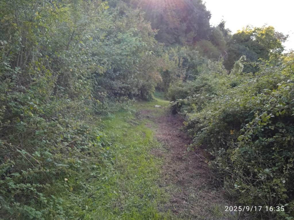 Terreno - Terreno agricolo via Rosce, Montelibretti - foto 2