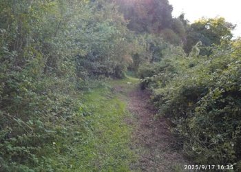 Terreno - Terreno agricolo via Rosce, Montelibretti - foto 2
