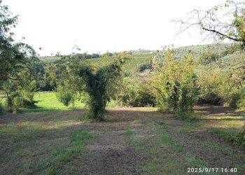 Terreno - Terreno agricolo via Rosce, Montelibretti - foto 11