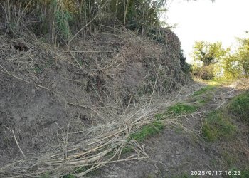 Terreno - Terreno agricolo via Rosce, Montelibretti - foto 15