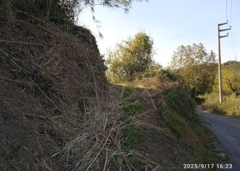 Terreno - Terreno agricolo via Rosce, Montelibretti - foto 17