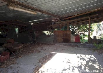 Giardino - Magazzino vicolo della Croce, 8, Montelibretti - foto 4