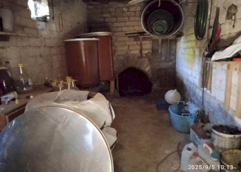 Cantina - Magazzino vicolo della Croce, 8, Montelibretti - foto 7