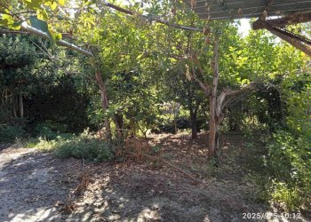 Terreno - Magazzino vicolo della Croce, 8, Montelibretti - foto 11