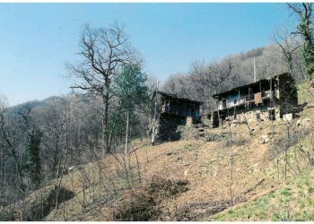 immagine whatsapp 2025-09-24 ore 14.11.06_33377ebf - Rustico via Coupin, Torre Pellice - foto 1