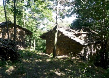 img-20250917-wa0025 - Rustico via Coupin, Torre Pellice - foto 10