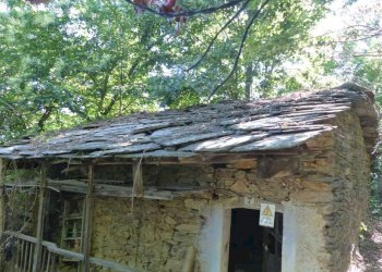 img-20250917-wa0033 - Rustico via Coupin, Torre Pellice - foto 14