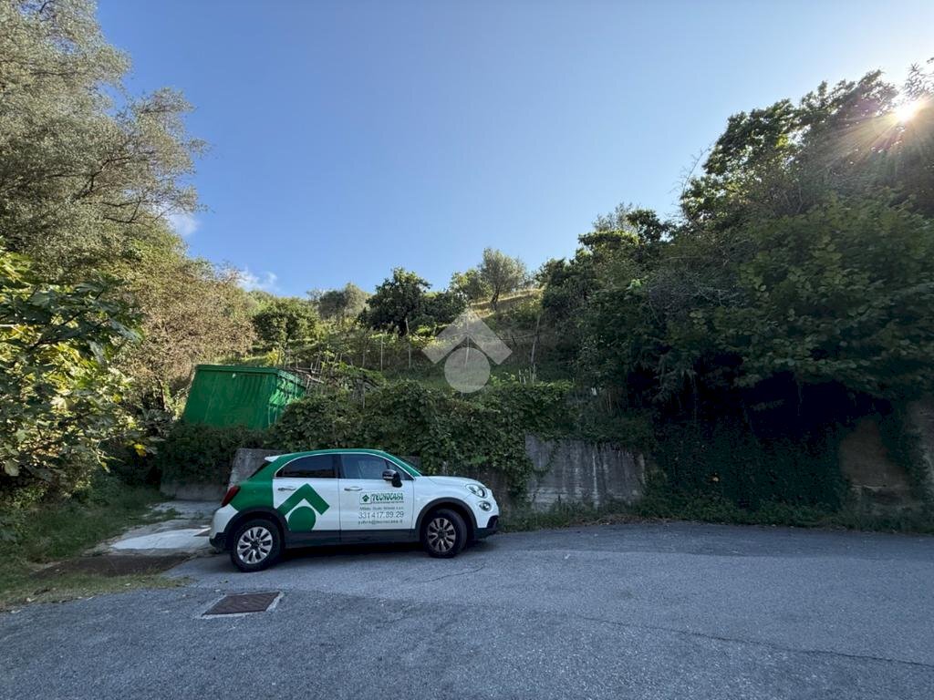 Terreno agricolo Via Luigi Grosso, Albisola Superiore - foto 3