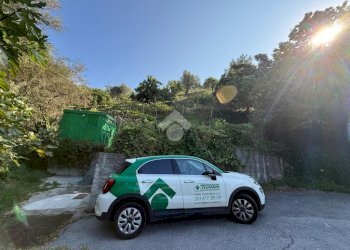 Terreno agricolo Via Luigi Grosso, Albisola Superiore - foto 4