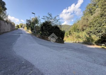 Terreno agricolo Via Luigi Grosso, Albisola Superiore - foto 5