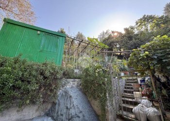 Terreno agricolo Via Luigi Grosso, Albisola Superiore - foto 6