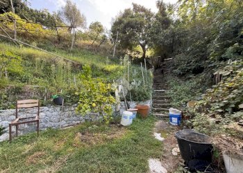 Terreno agricolo Via Luigi Grosso, Albisola Superiore - foto 7