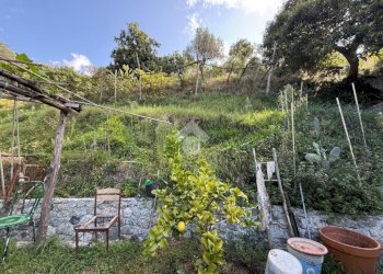 Terreno agricolo Via Luigi Grosso, Albisola Superiore - foto 8