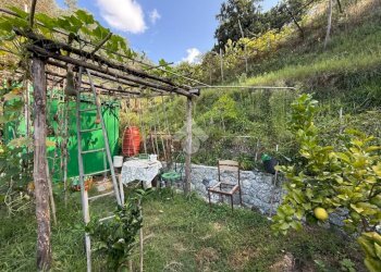 Terreno agricolo Via Luigi Grosso, Albisola Superiore - foto 9