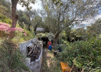 Terreno agricolo Via Luigi Grosso, Albisola Superiore - foto 10