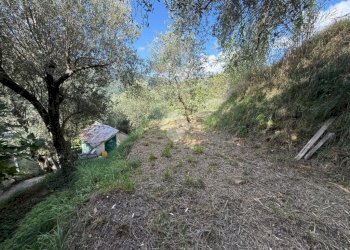 Terreno agricolo Via Luigi Grosso, Albisola Superiore - foto 11