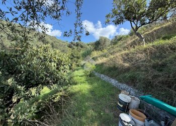Terreno agricolo Via Luigi Grosso, Albisola Superiore - foto 12