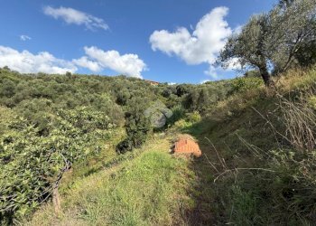 Terreno agricolo Via Luigi Grosso, Albisola Superiore - foto 13