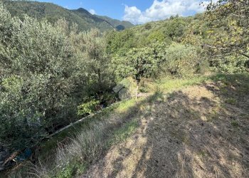 Terreno agricolo Via Luigi Grosso, Albisola Superiore - foto 14