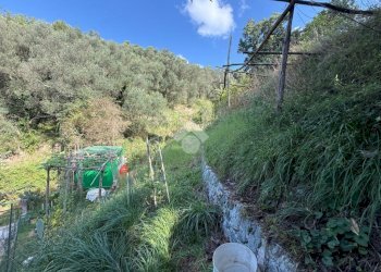 Terreno agricolo Via Luigi Grosso, Albisola Superiore - foto 15