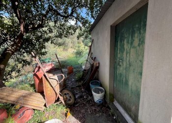 Terreno agricolo Via Luigi Grosso, Albisola Superiore - foto 18