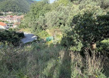 Terreno agricolo Via Luigi Grosso, Albisola Superiore - foto 19