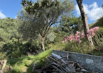 Terreno agricolo Via Luigi Grosso, Albisola Superiore - foto 20