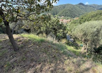 Terreno agricolo Via Luigi Grosso, Albisola Superiore - foto 21