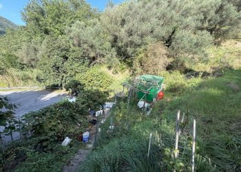 Terreno agricolo Via Luigi Grosso, Albisola Superiore - foto 22