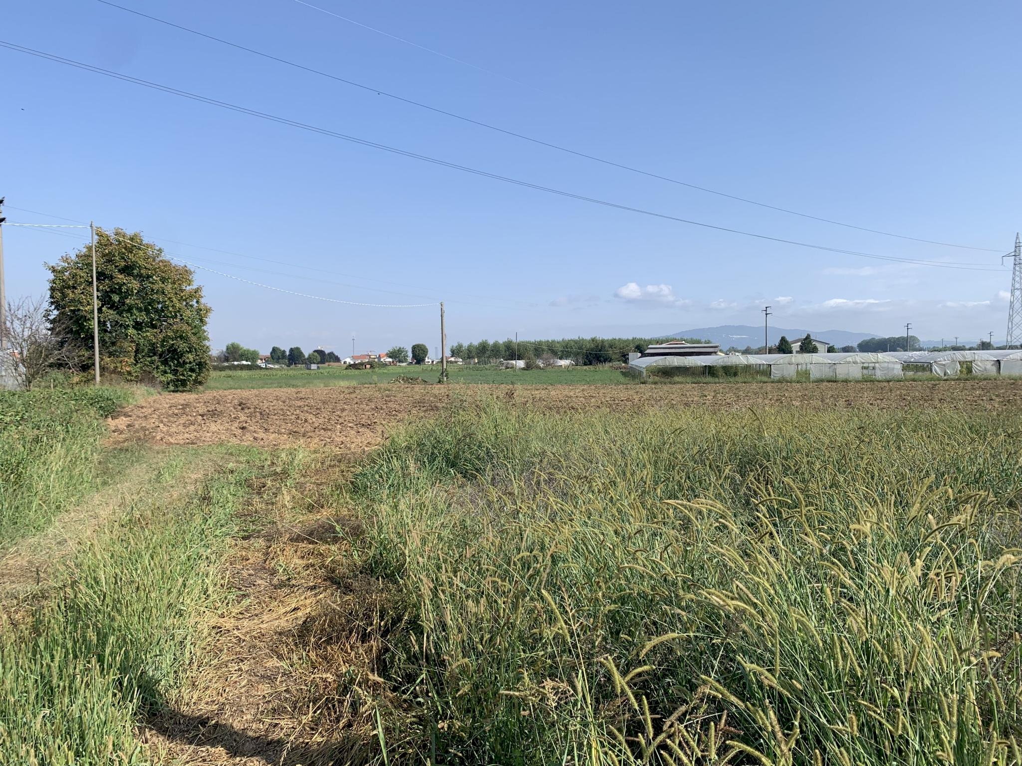 Terreno agricolo Vinovo - foto 1