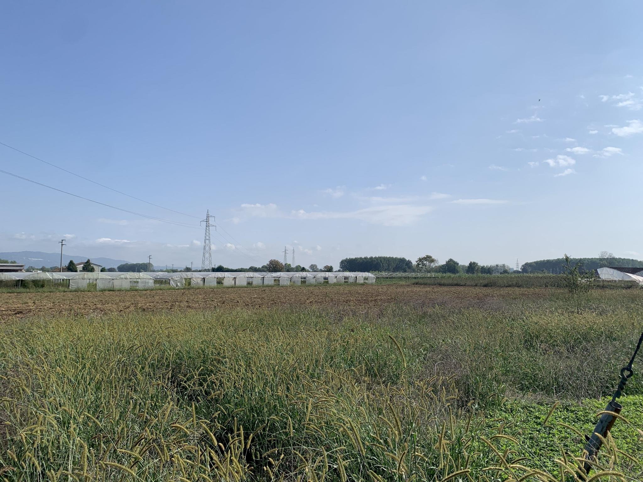 Terreno agricolo Vinovo - foto 2