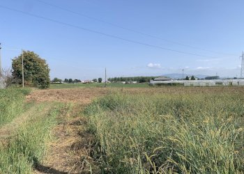 Agricultural land Vinovo - photo 1