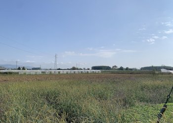 Agricultural land Vinovo - photo 2