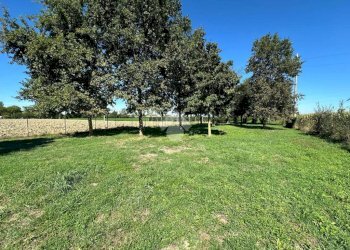 Casa indipendente Via Borghetto, Mirandola - foto 9