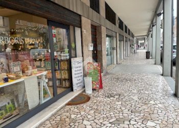 Box Corso Renato Emaldi, Fusignano - foto 2