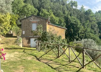 Foto 1 - Villa Terni - foto 1