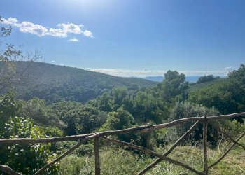 Foto 8 - Villa Terni - foto 8