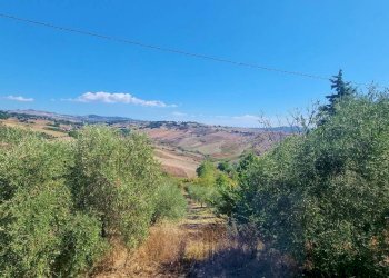 Foto 5 - Casa indipendente SP 157, Sant'Arcangelo Trimonte - foto 5