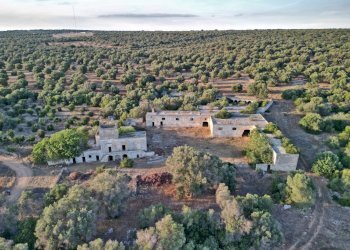 Foto 1 - Rustico Strada Statale per Taranto
 
snc, Torricella - foto 1