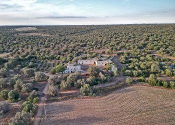 Foto 3 - Rustico Strada Statale per Taranto
 
snc, Torricella - foto 3