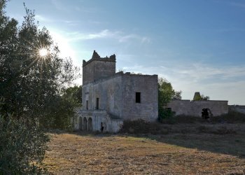 Foto 21 - Rustico Strada Statale per Taranto
 
snc, Torricella - foto 21