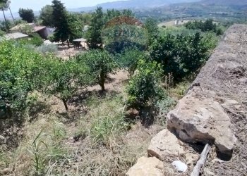 Giardino - Villa contrada saldano, Piazza Armerina - foto 7