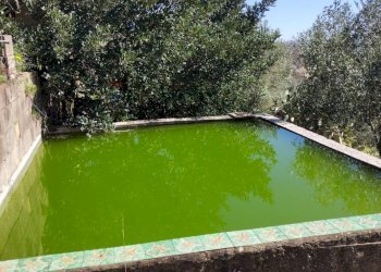 Giardino - Villa contrada saldano, Piazza Armerina - foto 25