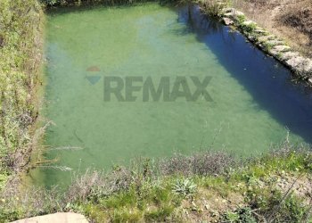 Vista dell\'acqua - Villa contrada saldano, Piazza Armerina - foto 26