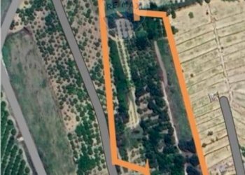 Posizione della mappa - Agricultural land cda pero  sb22, Grammichele - photo 16