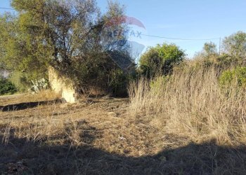 Giardino - Agricultural land cda pero  sb22, Grammichele - photo 5