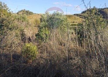 Vista delle montagne - Agricultural land cda pero  sb22, Grammichele - photo 8