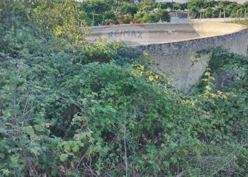 Giardino - Agricultural land cda pero  sb22, Grammichele - photo 10