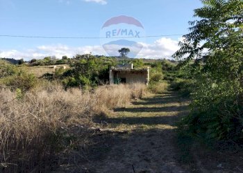 Giardino - Agricultural land cda pero  sb22, Grammichele - photo 15