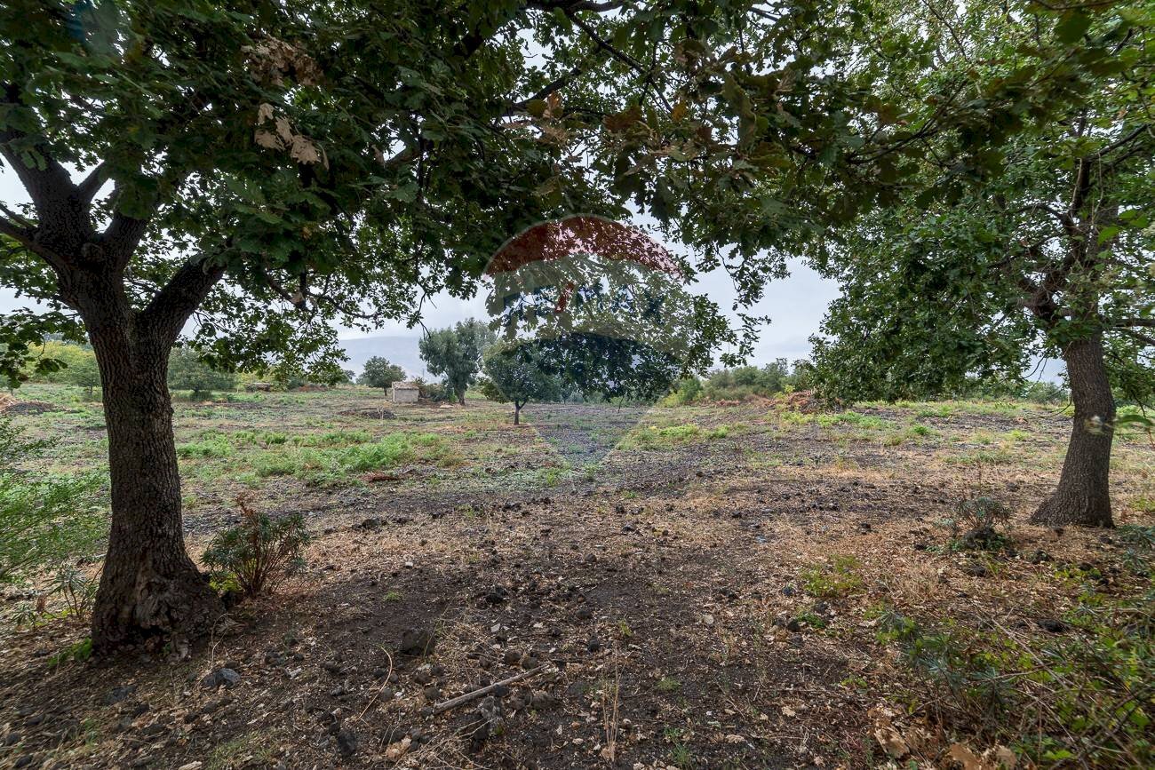 Giardino - Agricultural land Via Bellinghieri Montelaguardia
 
SN, Randazzo - photo 1